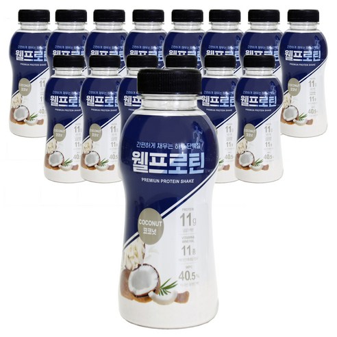 웰프로틴 코코넛, 15개, 40g