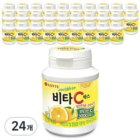 롯데웰푸드 비타C박스, 65g, 24개