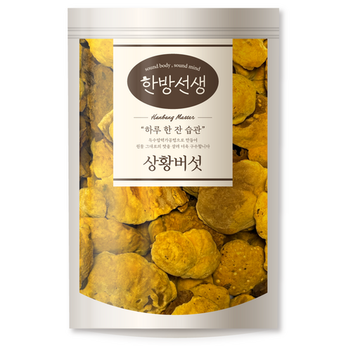 한방선생 국산 상황버섯, 100g, 1개