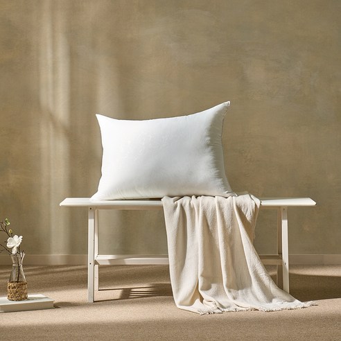 휴가드 진드기방지 베이직 베개솜, 화이트, 2개