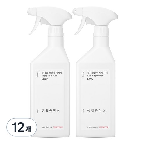 생활공작소 뿌리는 곰팡이 제거제, 750ml, 12개