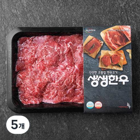 생생한우 1등급 불고기용 (냉장), 300g, 5개