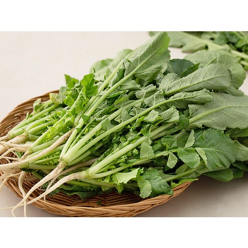 싱싱한 국내산 열무로 잃어버린 입맛을 되찾고 건강한 밥상을 차려보세요!