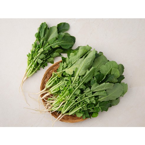 싱싱한 국내산 열무로 잃어버린 입맛을 되찾고 건강한 밥상을 차려보세요!