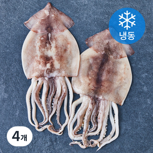 청해명가 두툼한 손질 오징어 (냉동), 4개, 500g(2미)
