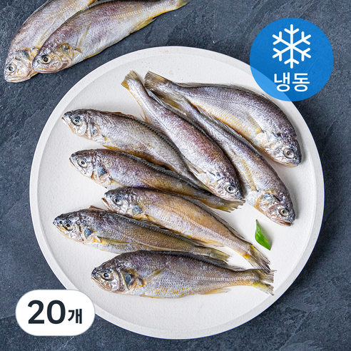 제주어부 참조기 (냉동), 700g, 20개