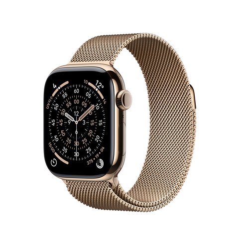 Apple 2025 애플워치 11, 골드, 42mm, GPS+Cellular, 티타늄,골드/골드 밀레니즈 루프, Loop