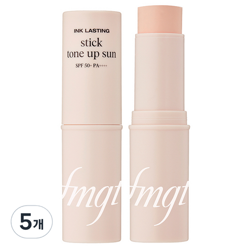더페이스샵 fmgt 잉크래스팅 톤업 선스틱 SPA50+ PA++++, 10g, 5개