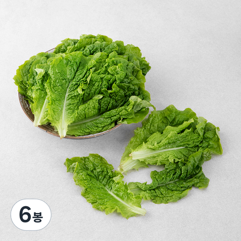 곰곰 국내산 GAP 청상추, 300g, 6봉