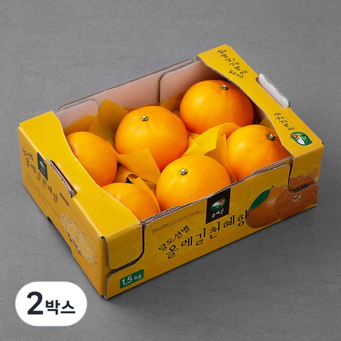 올레길 GAP 인증 당도선별 천혜향, 1.5kg(5~8입), 2박스
