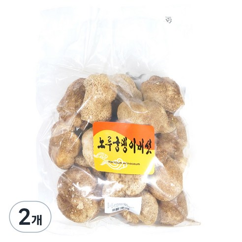 동광종합물산 노루궁뎅이버섯 중국산, 500g, 2개