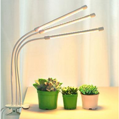 현대인의 원예 생활을 혁신하는 LED 식물등