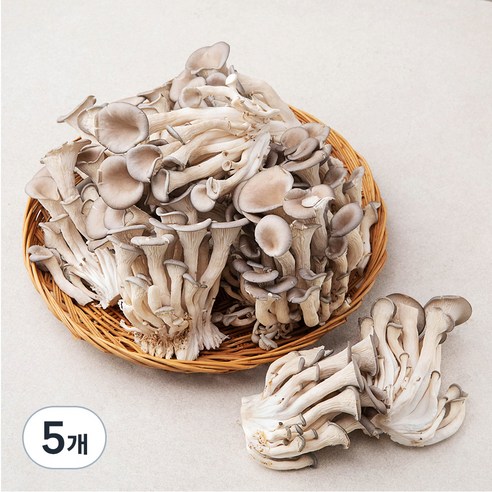 국내산 무농약 느타리버섯, 1kg, 5개