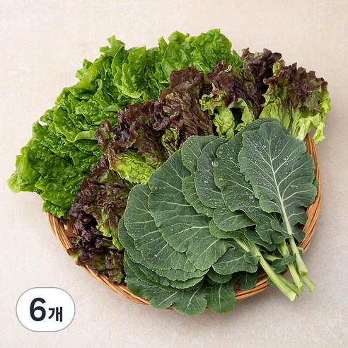 국내산 친환경 야채모듬쌈, 300g, 6개