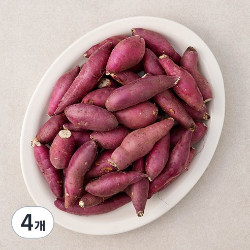 영암 한입 꿀맛 밤고구마, 1.5kg, 4개