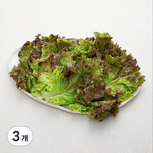 국내산 친환경 적상추, 150g, 3개