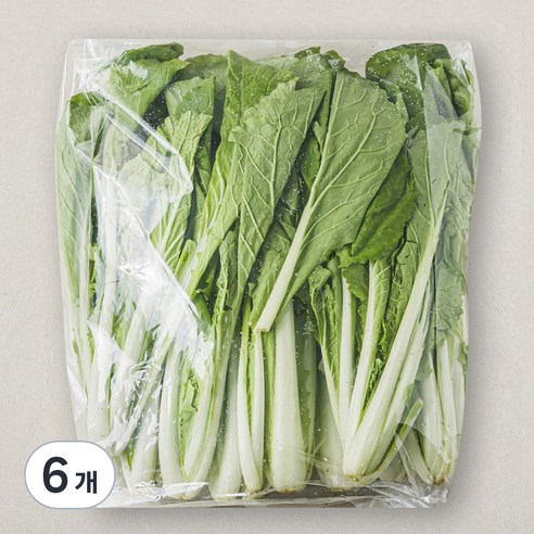 국내산 얼갈이, 1kg, 6개