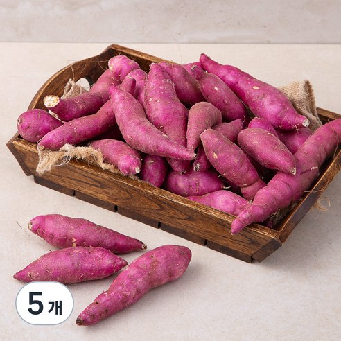 친환경 영암 한입 고구마, 1.5kg, 5개
