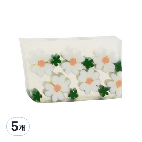 프라이멀엘리먼츠 바디솝 데이지, 165g, 5개