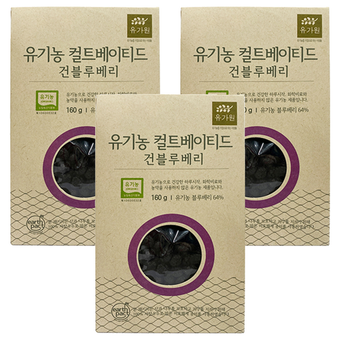 유가원 컬티베이티드 건블루베리, 160g, 3개