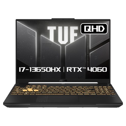 에이수스 2024 TUF 게이밍 F16 코어i7 인텔 13세대 지포스 RTX 4060, Mecha Gray, 1TB, 16GB, Free DOS, FX607JV-QT213