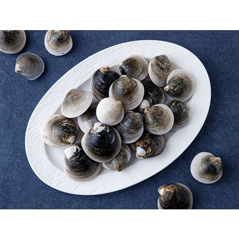 싱싱한 국산 모시조개로 끓이는 마법 같은 시원함!