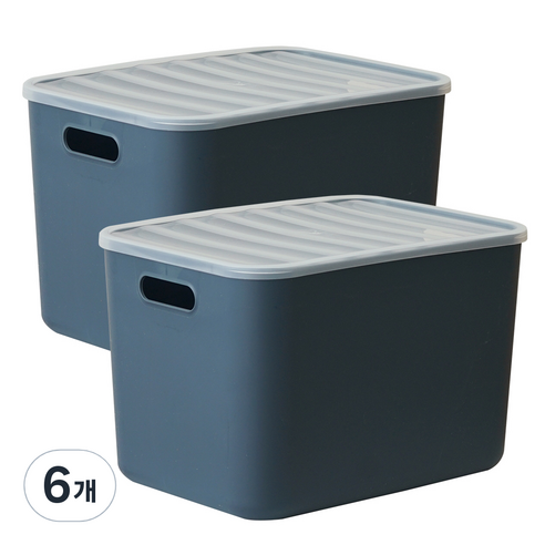보노하우스 아이엠 리빙박스 23.5L L, 네이비, 6개