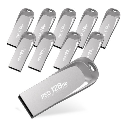PLEIGO USB 메모리 P50, 128GB, 10개