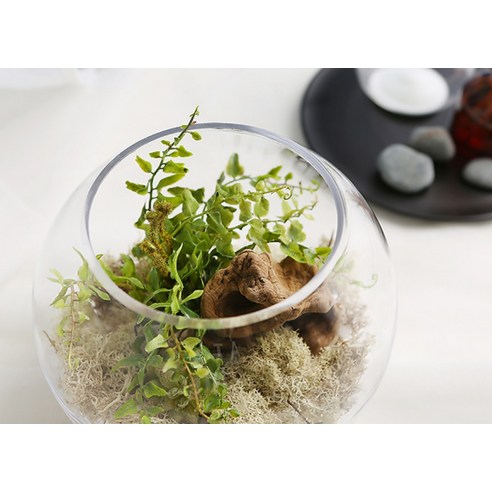 좁은 공간에 작은 행복을 더하는 마법, 삼호유리 다용도 유리 볼