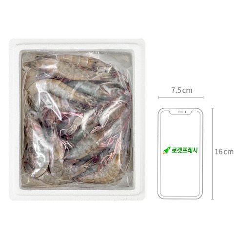 어부심 산지직송 산채로 포장한 신안군수 품질보증 생물새우, 1kg(25~35미), 1개