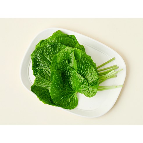 미식가를 사로잡는 특별한 향, 프리미엄 철원 와사비잎