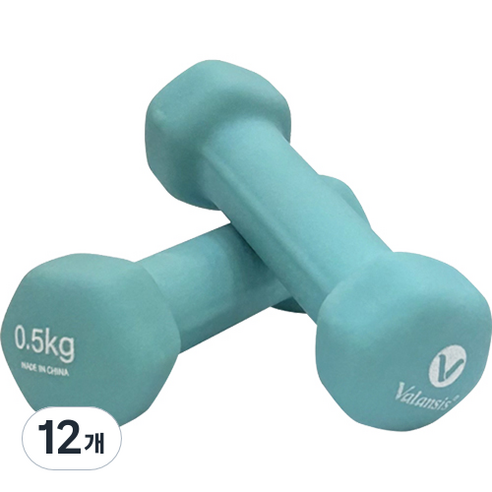 밸런시스 미용아령 민트, 0.5kg, 12개
