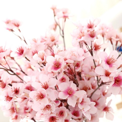 벚꽃의 우아함을 선사하는 조화 벚꽃날리며