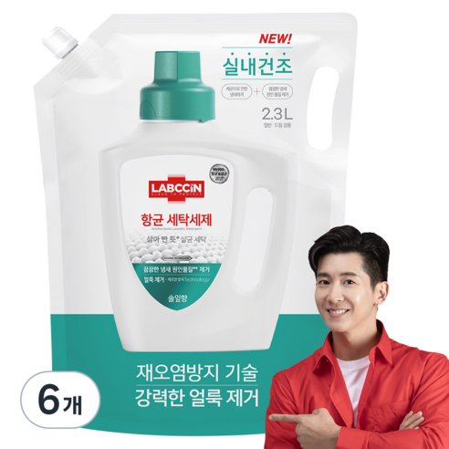 랩신 항균 세탁세제 솔잎향 리필, 2.3L, 6개