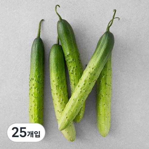 GAP 백오이, 5개입, 5개