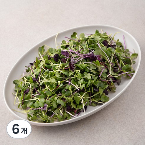 국내산 친환경 어린잎 채소, 200g, 6개