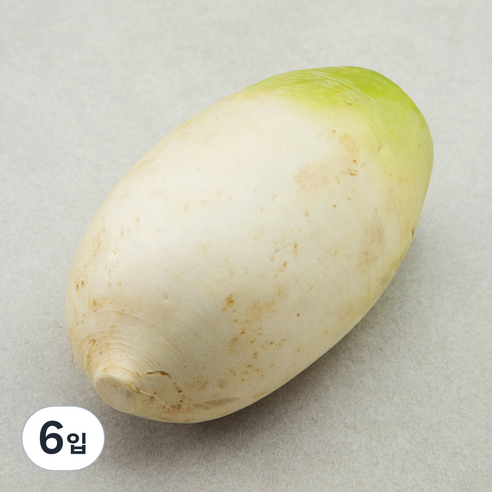 제주 세척 무, 1개입, 6개