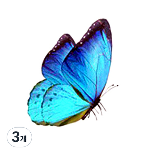 파티복닷컴 나비 웬디 타투 스티커, AC90, 3개