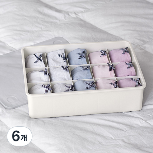 이즈리빙 뚜껑있는 플라스틱 속옷정리함 15칸, 아이보리 + 반투명, 6개
