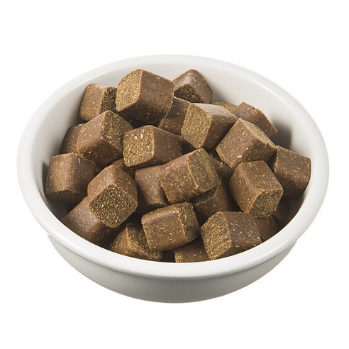 활력 넘치는 댕댕이 생활, 탐사 강아지 트릿 영양제로 되찾으세요