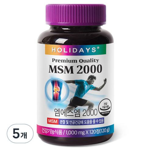 홀리데이즈 MSM 2000, 120정, 5개