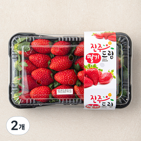 진주드림 금실 딸기 특, 500g, 2개