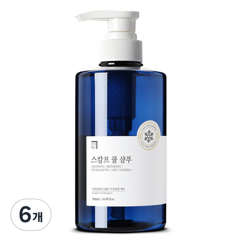 살림백서 스칼프 쿨 샴푸 프레쉬민트향, 6개, 500ml