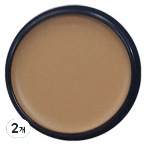 애리조 카마플레이지 크림 13g, No2 크림베이지, 2개