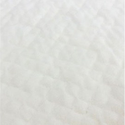 반려견의 편안한 배변을 위한 최적의 선택