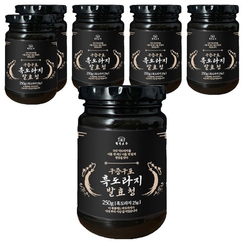 웰빙곳간 구증구포 흑도라지 발효청, 250g, 6개
