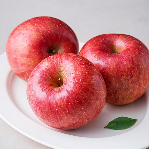고당도 청송 사과 대과, 1kg(3입), 1개