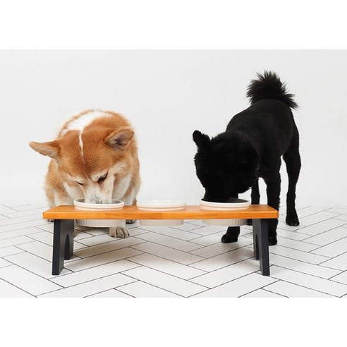 딩동펫 원목 프리미엄 반려동물 식기 3구: 편안함, 세척 용이성, 스타일을 갖춘 반려동물 식기