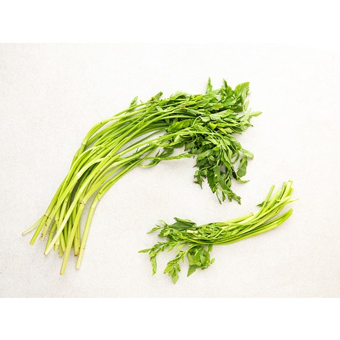 향긋한 돌미나리로 식탁에 봄을 더하고 건강까지 챙기세요!