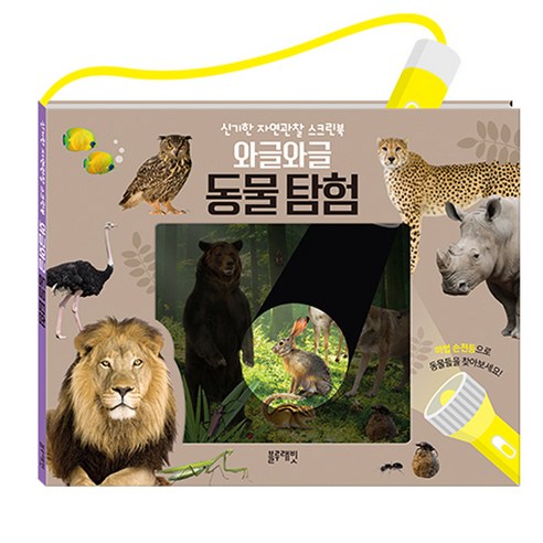 와글와글 동물탐험:신기한 자연관찰 스크린북, 블루래빗